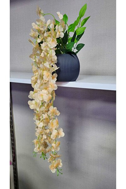 La bella bazar Artificial Flower Pendant in Pot Soft Color Acacia Pendant 5 Roots 70-80cm