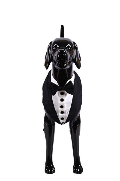 Rheme And Fons Özel Tasarım Couture El Işçiliği Tek Paça Kedi & Köpek Smokin