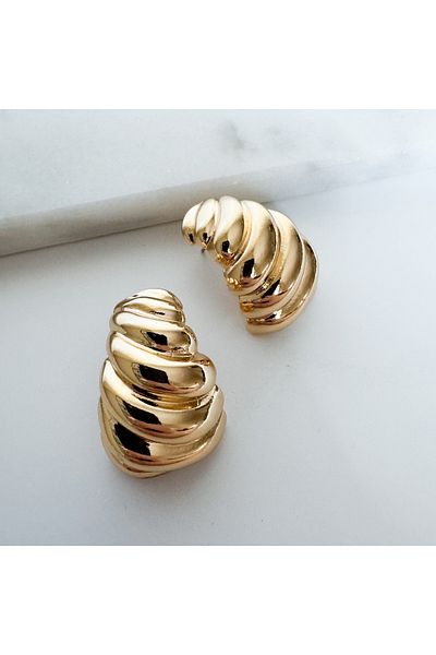 CHARMLUCKY Steel Earrings