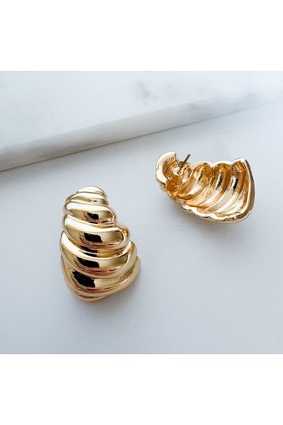 CHARMLUCKY Steel Earrings
