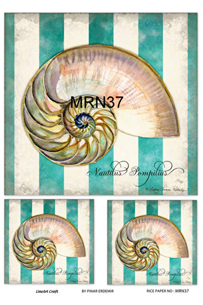 LİNEART Brass Decopage Paper - Mrn37, 29X42Cm
