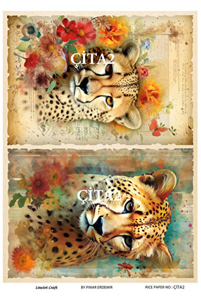 LİNEART Pirinç Dekopaj Kağıdı No:ÇİTA2- 29X42cm