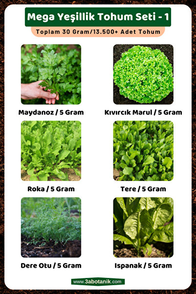 3A BOTANİK Mega Yeşillik Tohum Seti - 1, Toplam 30 Gram/13.500 Adet Yeşillik ...