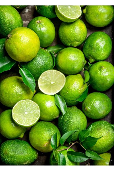 MYANAMUR 1 Kg Taze Limon