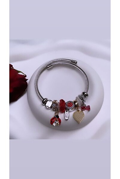 Accessories Gümüş Renk Uğur Böcekli Çelik Bileklik