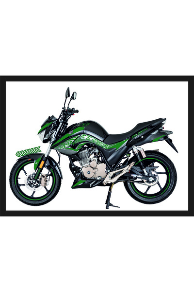 Mondial Drift L Sticker Seti Orman Yeşili