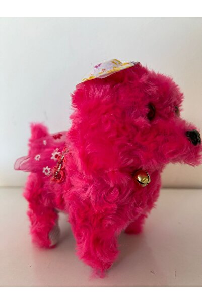 TOPTANCI pilli köpek