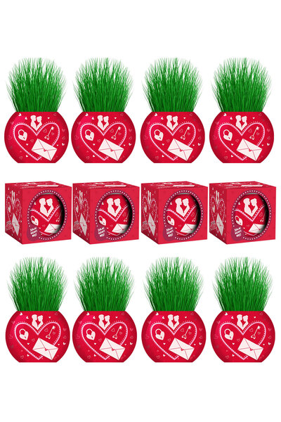 Toyaş Çim Adam Aşk Love 12 Adet Sevgiliye Hediye Konsept Sevgililer Günü Hedi...