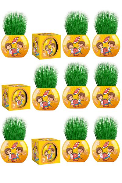 Toyaş Grass Man 12 Pieces New Generation Boxed School Themed Party Gift School Student Cardboard Gifts