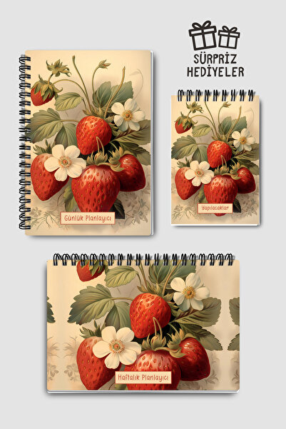 Eldesen Tasarım 3'lü Planlama Seti, Günlük Planlayıcı, Haftalık Planlayıcı, Y...