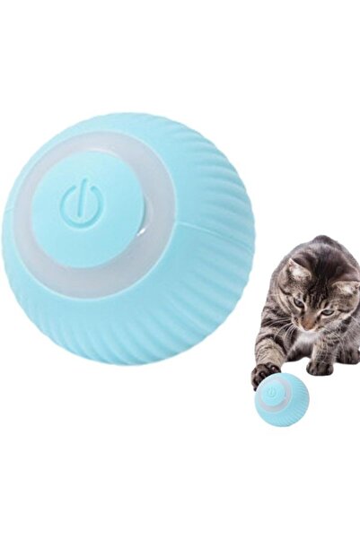 Pastimore Özel Üretim Yumuşak Gün Boyu Meşgul Edici Fit Zihinsel Sağlık İnter...