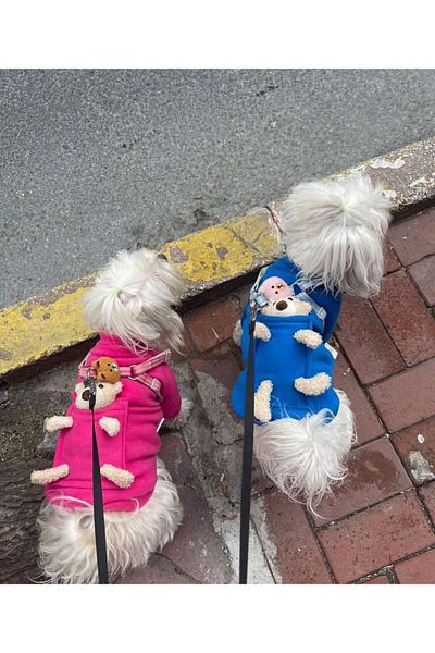 PetiliDünya Cute teddy bear sweat Cat & Dog Outfit with toy sweat