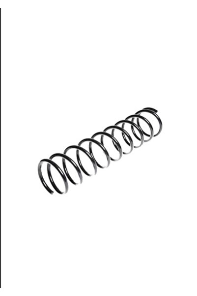 CAREX Fiat Linea Ön Helezon Yayı 51815486