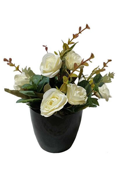 Cennet Home Yabangülü aranjman siyah parlak yakut saksıda doğal dokulu pastel...