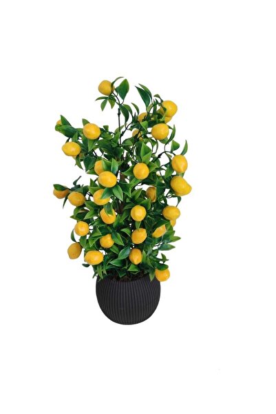 Cennet Home Limon Ağacı Mutfak Süsü 50 Cm Antrasit Saksıda