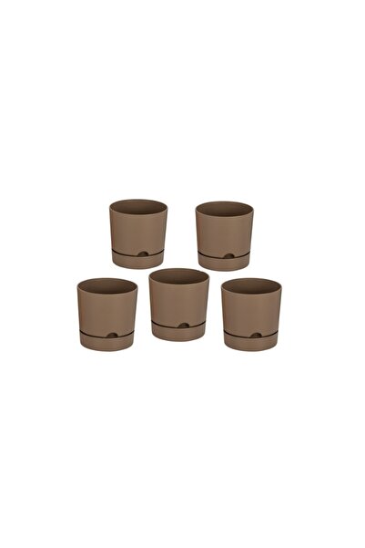 Poliwork Avantajlı Set 5 Adet Begonya 9 Cm Tabaklı Saksı 0,5 Lt - Sütlü Kahve...