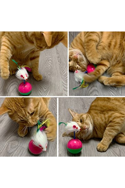 RiverWorld River World Cat Educational Playing Ball - Feathers and Mice, Pilgrims Reclining
