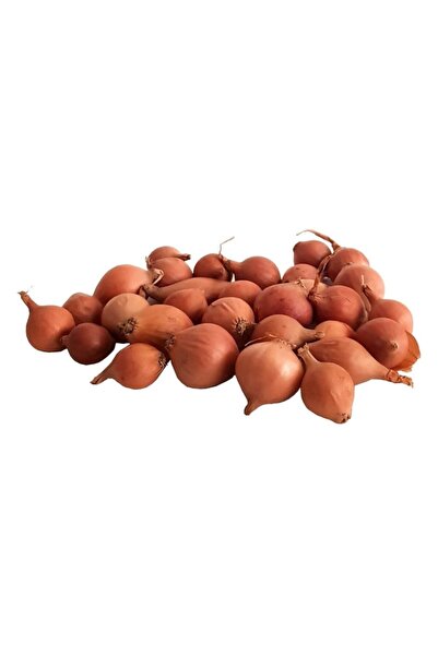 Genel Markalar Arpacık Soğan Oval (kıska) Amasya 500 gr