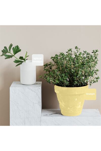 WHY NOT Lemon Drop Multisurface Kendinden Vernikli Akrilik Boya 500ML