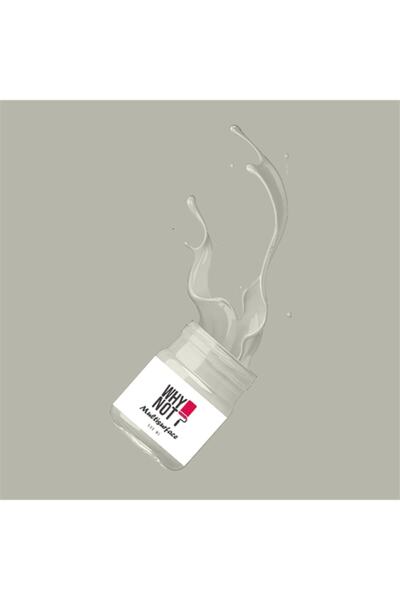 WHY NOT Uplifting Multisurface Kendinden Vernikli Akrilik Boya 500ML