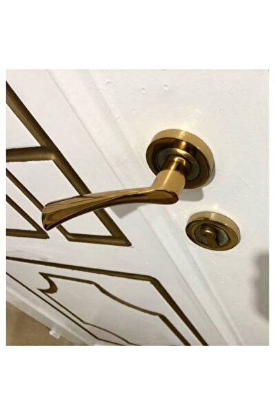 İstanbul E-Hırdavat Bravo Albirifin Rozetli Kapı Kolu Çelik Kapı Kolu Sağ Basar 1 Adet