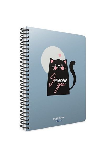 Gıpta Caiet în carouri cu copertă din carton cu spirală albastru post-book 17x24 80yp