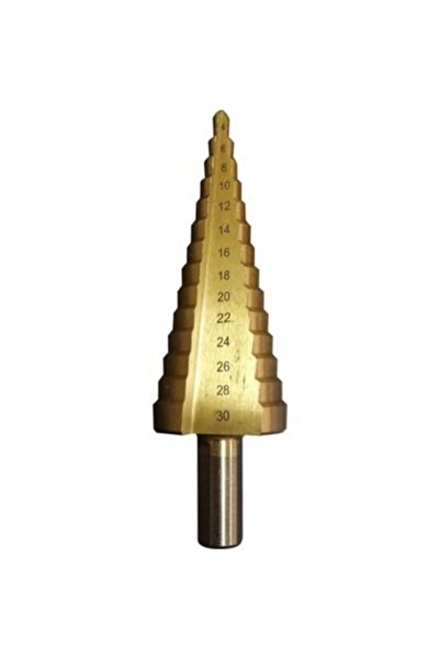 Panç Kozalak Kademeli 4x30 Mm