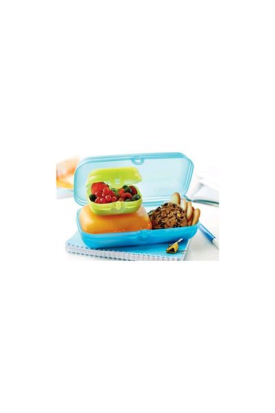 Tupperware Oyster Set Colorful