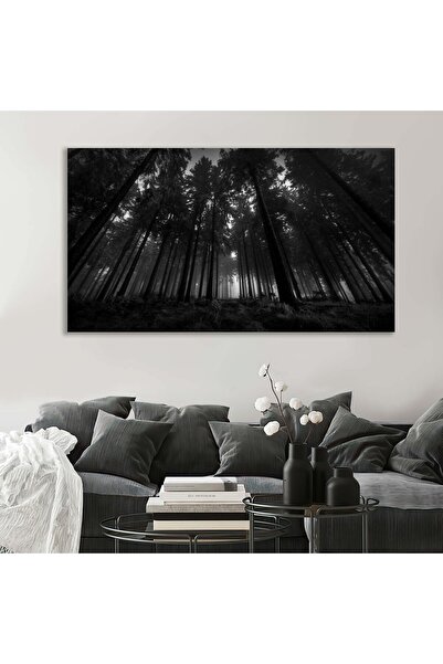 PrintiesPlus Siyah Beyaz Ormanlar Kanvas Tablo