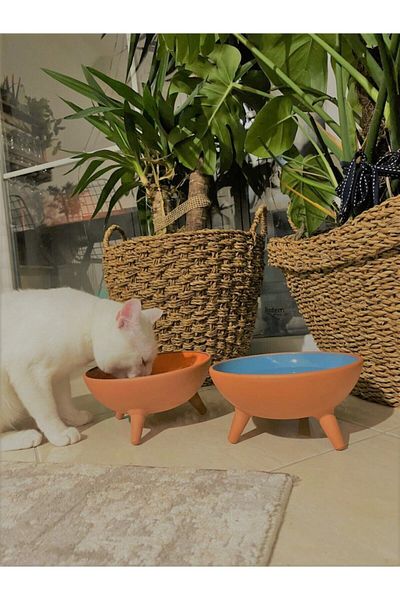 goffin Pottery 2-Piece Cat-Dog 2-Way Food - Water Bowl Large Size