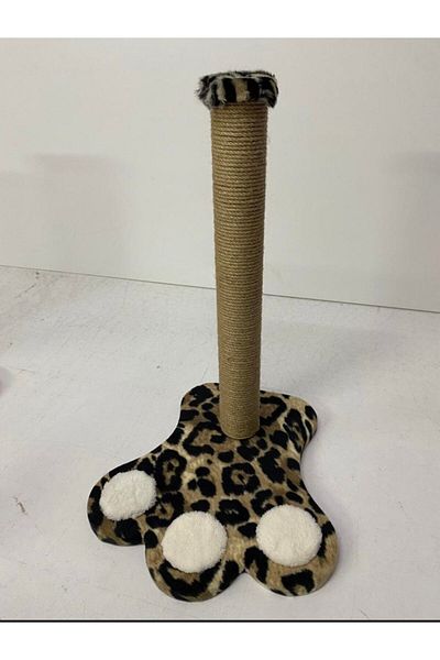 Cathause Paw Cat Scratching Leopard