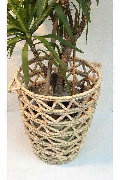 Savana El Yapımı Sanatları Camellia Hasır Hasır Saksı / Sepet 50 X 60