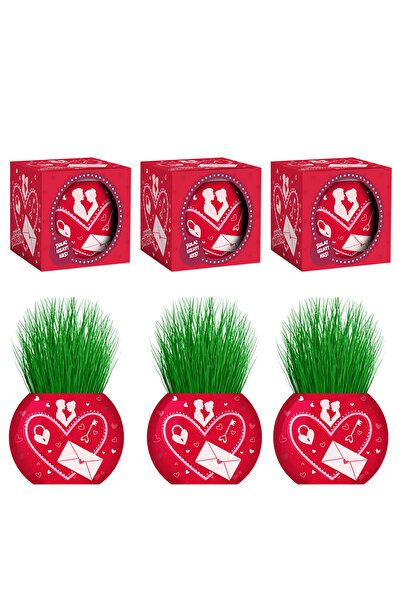 Toyaş مجموعة هدايا عيد الحب المكونة من 6 قطع من Grass Man Love Love هدية عيد ...