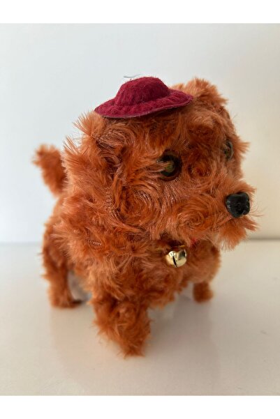 TOPTANCI pilli köpek
