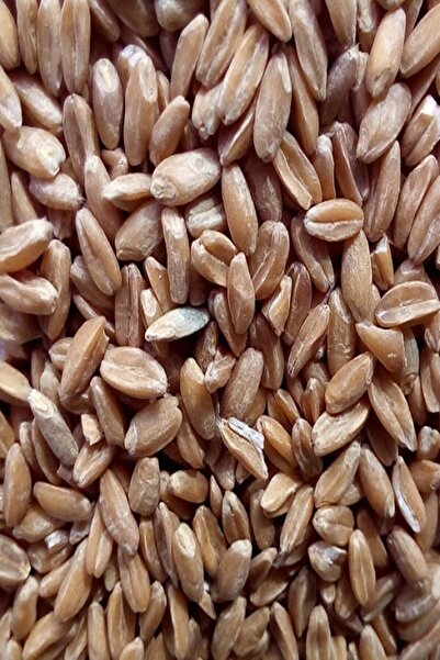 KAPPADOKİA Atalık, Kızıl Buğday(dinkel) Spelt Un 5kg