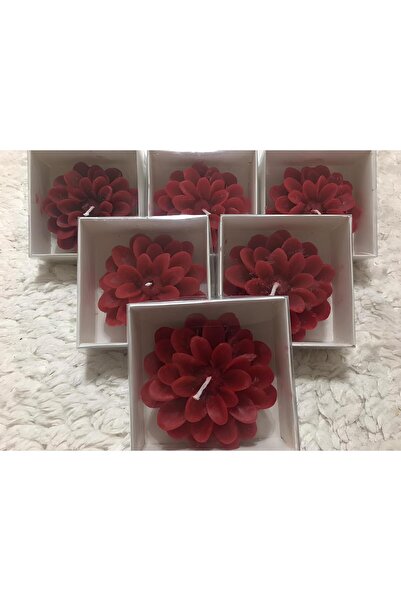 Daisy Store Accessories 10 Adet Kraft Kutulu Kırmızı Lotus Çiçeği Mum, Hediye...