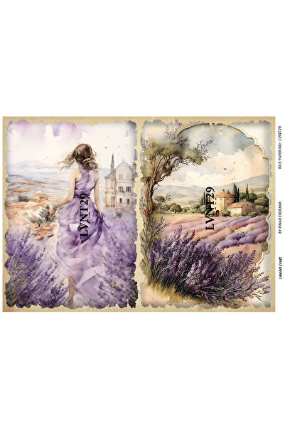 LİNEART Pirinç Dekopaj Kağıdı No:LVNT29- 29X42cm