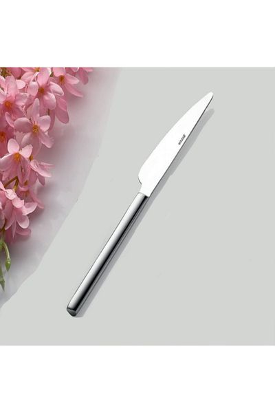 AHİR TİCARET Inter Steel Işıl Model Food Knife 12 Pieces