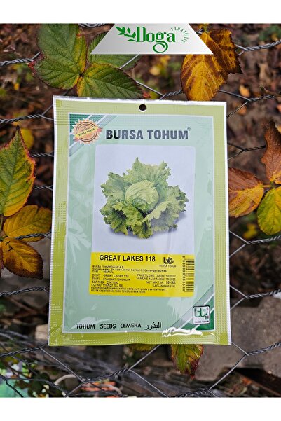 DOĞA FİDANCILIK Doğal Göbek Marul Tohumu ( Great Lakes )