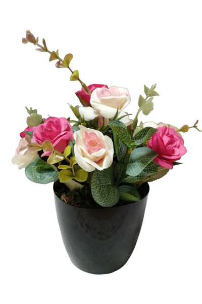 Cennet Home Yabangülü aranjman siyah parlak yakut saksıda doğal dokulu pastel...