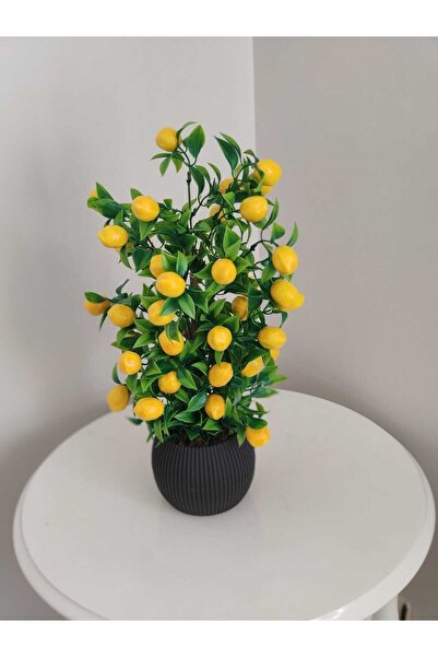 Cennet Home Limon Ağacı Mutfak Süsü 50 Cm Antrasit Saksıda