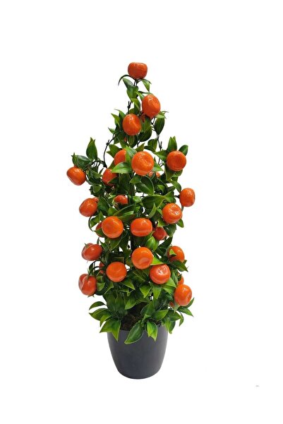 Cennet Home Mandalina Ağacı Küçük boy doğal dokulu dekoratif mutfak süsü siya...