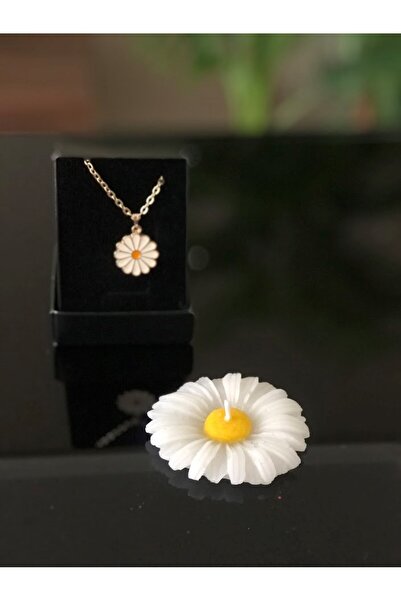 Masalsı Concept هدية عيد الحب في 14 فبراير، هدية عيد الأم، عيد الميلاد، مفهوم الأقحوان