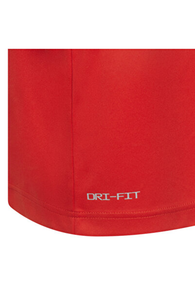 Nike RWB BRUSH STROKE ICON TEE MEN'S T-SHIRT 9Q0566-U10