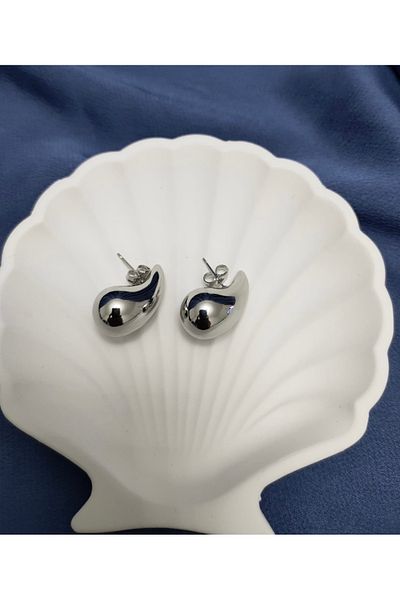 SHINING Steel Earrings