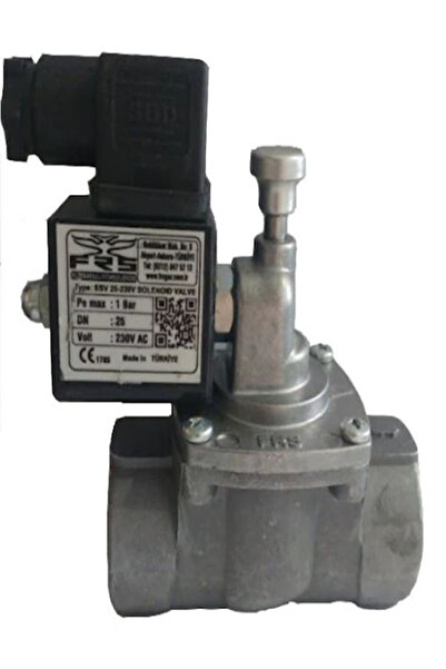 Frs 11/4" SELENOİD VANA