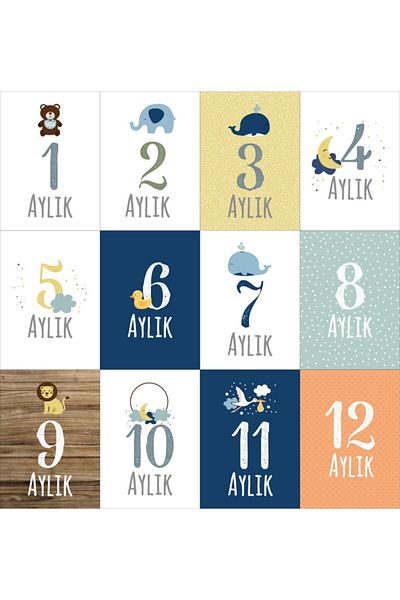 AKILLICA بطاقات ذاكرة الأطفال 32 بطاقة تصوير شهرية