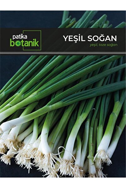 Patika Botanik 400 Adet Ata Tohumu Yerli Yeşil Soğan