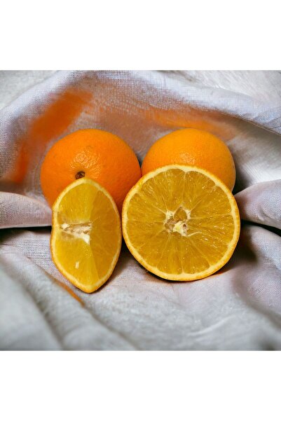 ARI ORGANIC Portakal 8 Kg