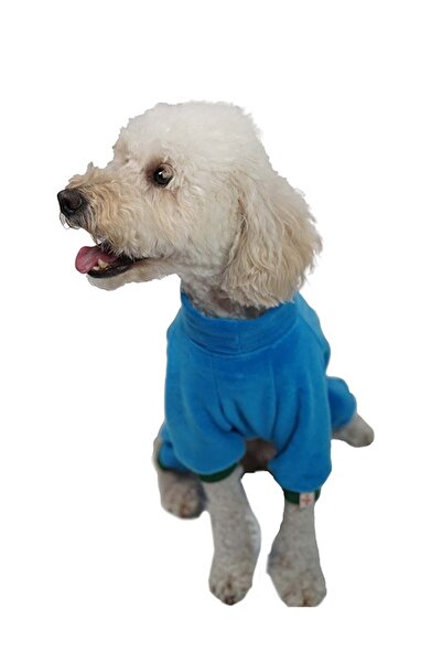 Pawstar Mavi Smile Kadife Küçük Irk Köpek Tulumu (1 KG-10 KG ARASINA UYGUN BEDENLERDE)